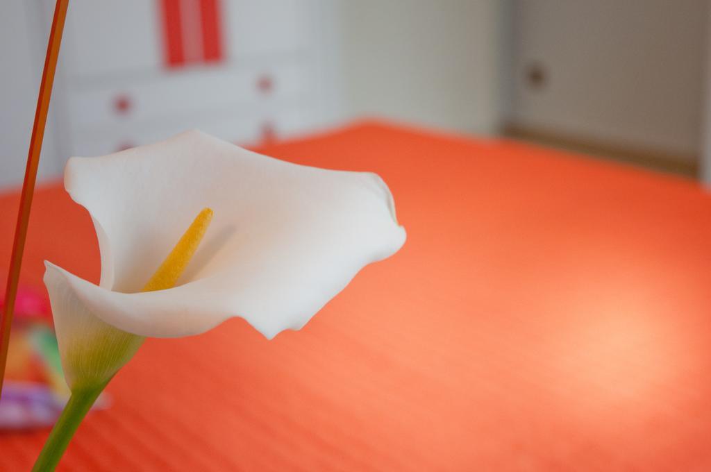 Albergo La Rosetta キアンチャーノ・テルメ エクステリア 写真